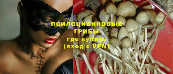 амфетамин Белокуриха