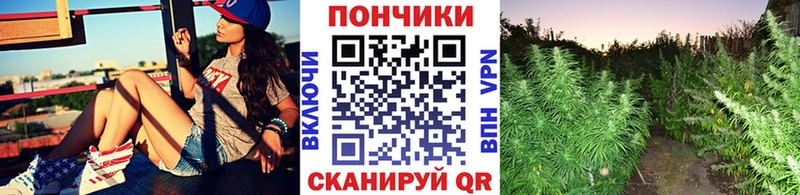 Шишки марихуана THC 21% закладки Можга